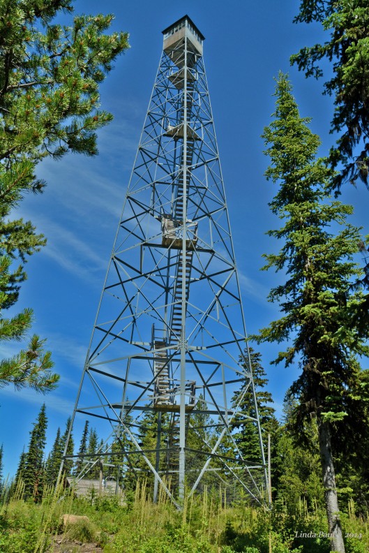 My last LO; Elk Summit; elevation 6,386 ft; Nez Perce National Forest